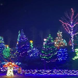 One of the many scenes in this year’s Gardens Aglow at Coastal Maine Botanical Gardens. Melanie Hall photo
