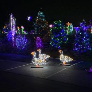 STEVE EDWARDS/Boothbay Register