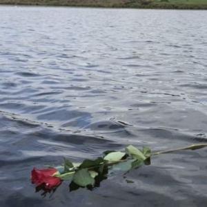 One Rose For Wendy