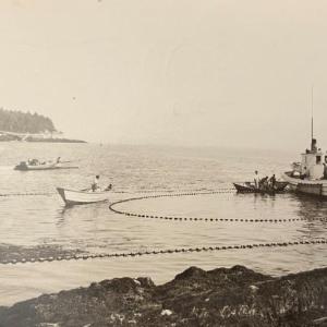 :Sardine carrier Helen McColl built in 1911 by Adams Shipbuilding Co. Courtesy of BR Historical Society