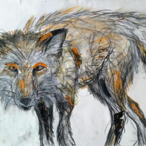 Lori Shafer