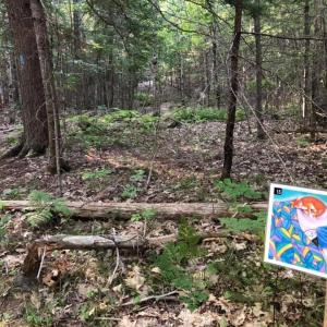 This spring and summer, KELT is excited to offer storybook trails across the region. Courtesy of KELT