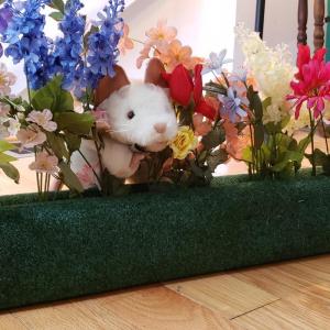 Giles the mouse prepares jump for hobby horse competition. Courtesy photo