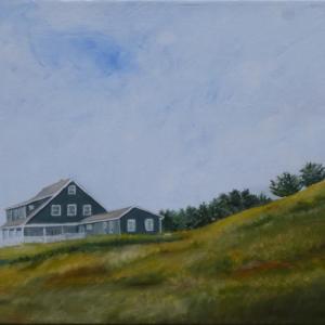 Lynne Seitzer