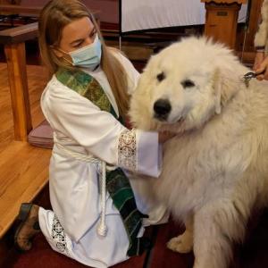 Blessing of the animals at St. Giles last year. Courtesy of Tom Eichler
