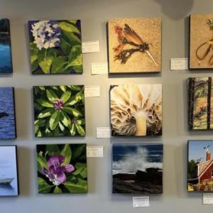 Art in the Square - gifts for the art lovers on your holiday gift lists for just $125 painted by local and regional artists. This show runs into the New Year! Courtesy BRAF