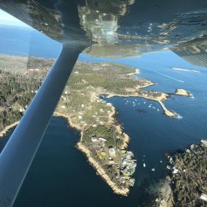 #bird-column, #Jeff and Allison Wells, #boothbay register, #birds, #maine, #christmas bird count, #matinicus island