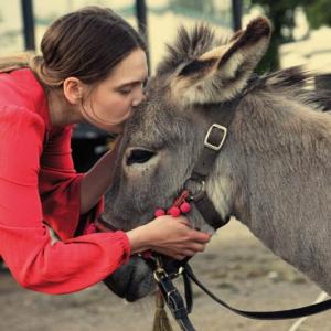 The beautiful gray donkey, EO, stars in Lincoln Theater’s new film of the same name opening on Friday. Courtesy of the venue