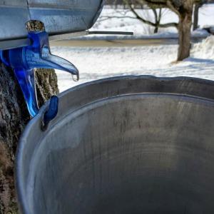 A drop in the bucket at Sweetwoods Farm in Newcastle. Justin Wood photo