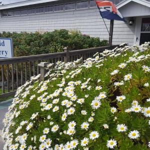 Pemaquid Art Galley. File photo