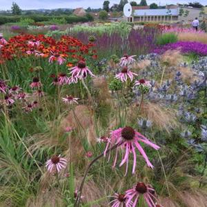 A still from the documentary, “Five Seasons: The Gardens of Piet Oudolf.” Screening on May 16 is Harbor Theater member event. Courtesy of the venue