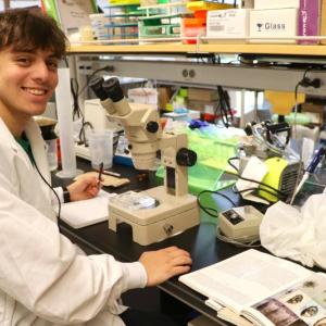 Boothbay Region High School junior Dominick Dow works at Bigelow Laboratory during the Keller BLOOM Program. Courtesy of David Fields, Bigelow Laboratory