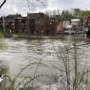 #bird-column, #jeff and allison wells, #boothbay register, #birds, #maine, #flood, #bald eagley