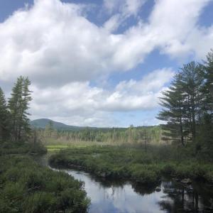 One of the gorgeous scenes to enjoy at Katahdin Woods & Waters National Monument. Courtesy of Allison Wells. #bird-column, #katahdin-woods-and-waters-national-monument, #jeff-and-allison-wells, #birds, #boothbyay-register, #maine
