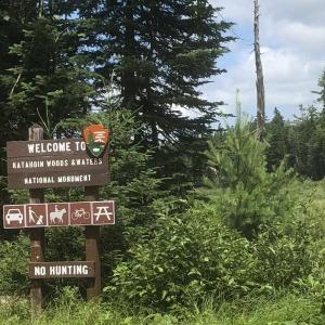 #bird-column, #katahdin-woods-and-waters-national-monument, #jeff-and-allison-wells, #birds, #boothbyay-register, #maine