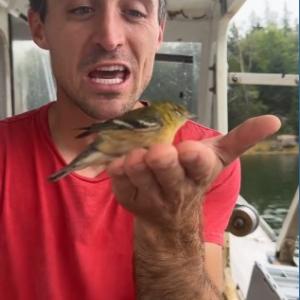 Lobsterman who witnessed birds seemingly falling from the sky, a scene shared on a TikTok video. #bird-column, #hurricane-lee, #jeff and allison wells, #maine, #birds, #lobsterman, #boothbay register