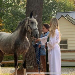 A horse being blessed at last year’s service at St. Giles Episcopal Church in Jefferson. Courtesy of Aowyn Burbank