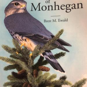 #bird-column, #birds, #jeff and allison wells, #maine, #monhegan island, #boothbay register