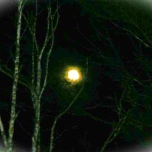 Full Blood moon and lunar eclipse coming this Saturday, Oct. 28. LISA KRISTOFF/Boothbay Register