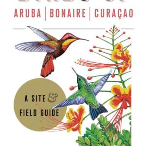#bird-column, #birds of aruba bonaire and curacao, #jeff and allison wells, #boothbay register, #maine, #birds