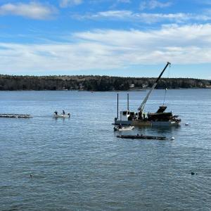 Crew clearing debris ahead of Jan.13 storm. Courtesy of Amy Goodwin, Blake's Boatyard.