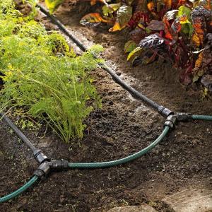 Snip-n-drip irrigation systems apply water directly where it is needed and fit any garden planted in rows. courtesy of Gardener’s Supply Company/gardeners.com