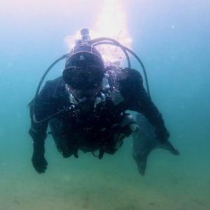 From Filmmaker David Abel, “In the Whale,” a lobster diver’s story. Courtesy of the venue