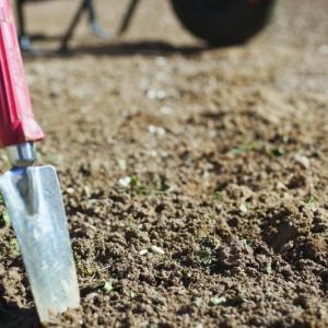 Homeowners can consider these tips before they begin the process of reseeding or replanting their lawns.