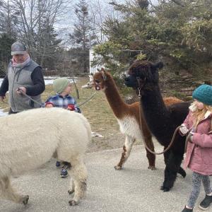 On the way to the Newagen pier in the 2023 Winter Walk. Courtesy photo