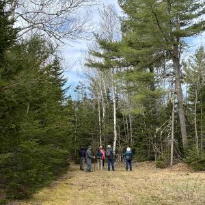 #bird-column, #boothbay register, #perham stream birding trail, #natural resources council of maine, #jeff and allison wells, #birds, #maine, #high peaks alliance