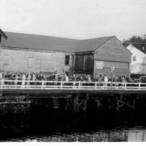 More than 50 men carry a mast south across the bridge in East Boothbay in 1951, and prepare to make the turn into Goudy & Stevens shipyard. In the background is the old Hodgdon tidemill perched on the entrance to the mill pond from the Damariscotta River. The tidemill was regrettably torn down to widen the road and bridge about 1959. Courtesy of Boothbay Region Historical Society