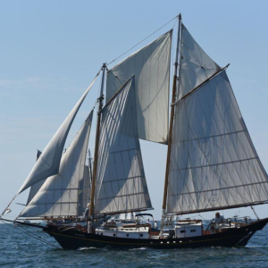 Fred Bowers in Sycamore at the Gloucester Schooner Festival. Courtesy of Fred Bowers