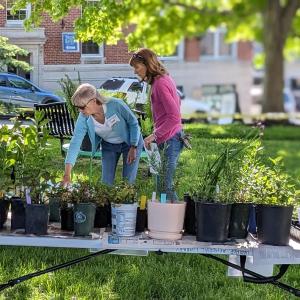 BHML native plant sale co-organizers, from left, Leslie Volpe and Liz Lussier. CANDI JONETH/Boothbay Register