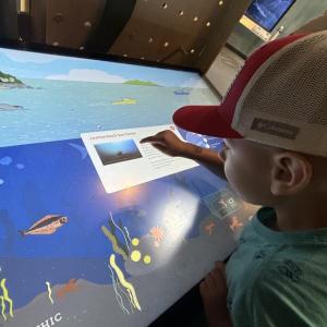 This youngster was one of the 630 people who visited the Research Touch Table at the new Gulf of Maine Discovery Center grand opening on June 26. LISA KRISTOFF/Boothbay Register