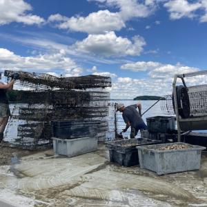 Wolfe Neck Oyster Co. grows oysters in Casco Bay. Courtesy of Angie Helton