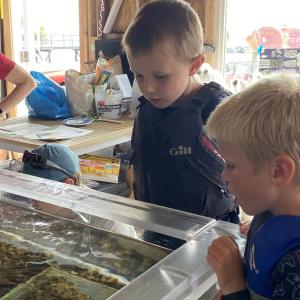 ISABELLE CURTIS/Boothbay Register