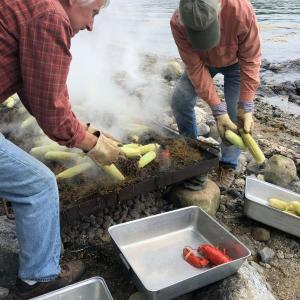 Join Mid-Coast Audubon for an authentic lobster bake on Hog Island. Courtesy of Mid-Coast Audubon