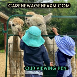 Reserve your time for Maine Open Farm Day July 28. Courtesy photo