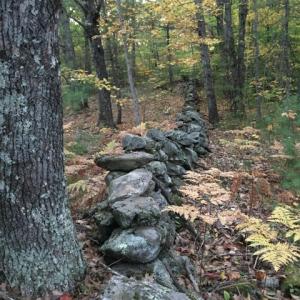 Stone wall in the Schmid Preserve. Courtesy of Lisa McSwain