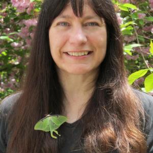 Laurel Dodge