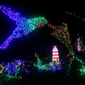 Gardens Aglow scene 2023. STEVE EDWARDS/Boothbay Register