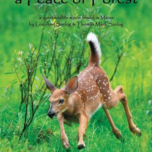 A new nature documentary filmed and produced in Lincoln County, Maine will be screened as part of BRLT’s Annual Membership Meeting at Harbor Theater on Sept. 26. Courtesy photo