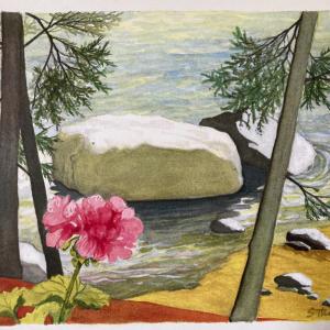 Watercolor by Edgecomb based artist Suzi Thayer. Courtesy of Merry Barn