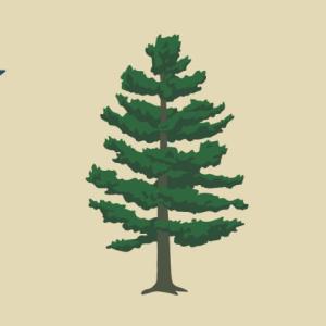 The alternative Maine state flag on the ballot for 2024. 