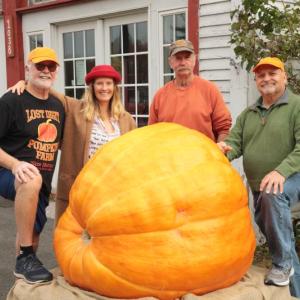 Big pumpkin