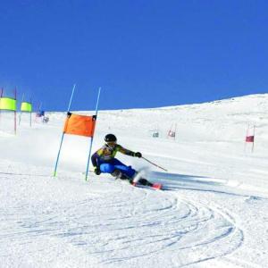Alpine Ski racer