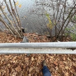 Adams Pond Road