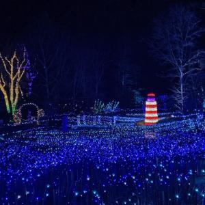 Gardens Aglow. STEVE EDWARDS/Boothbay Register