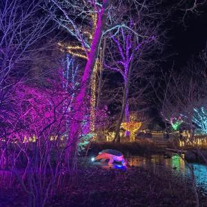 Gardens Aglow. STEVE EDWARDS/Boothbay Register