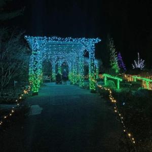 Gardens Aglow. STEVE EDWARDS/Boothbay Register